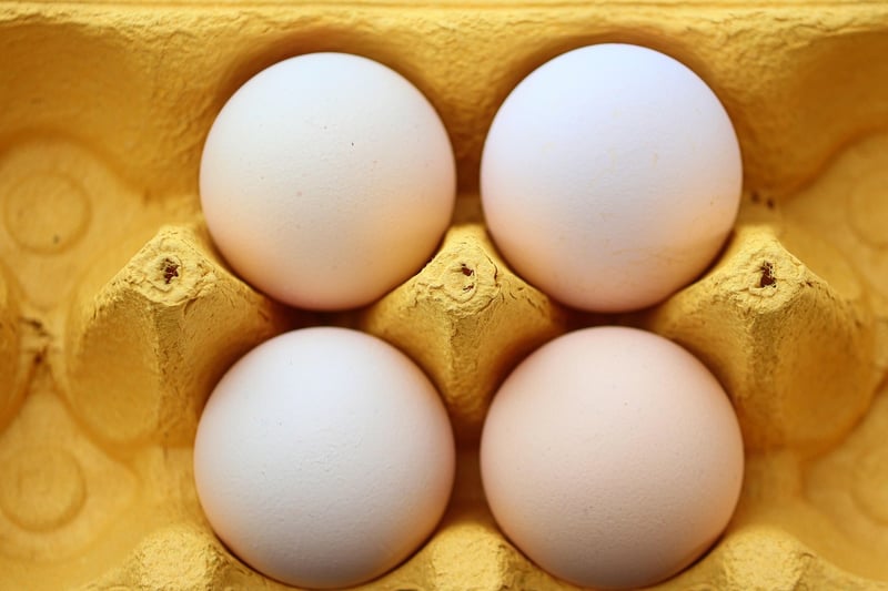 Egg Carton Creatures